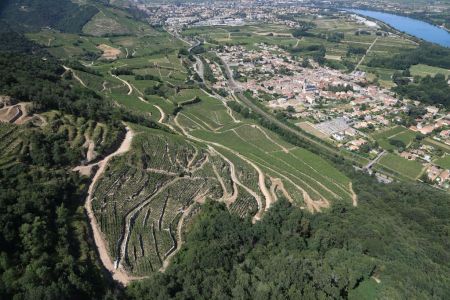 Mauves sur Rhône, le berceau de l’Appellation Saint-Joseph depuis 1956